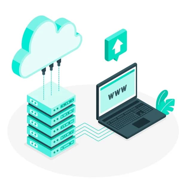 software management